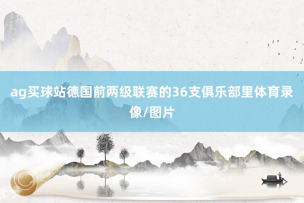 ag买球站德国前两级联赛的36支俱乐部里体育录像/图片