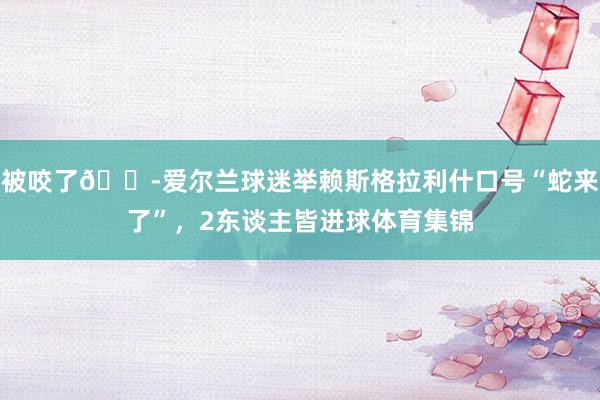 被咬了😭爱尔兰球迷举赖斯格拉利什口号“蛇来了”，2东谈主皆进球体育集锦