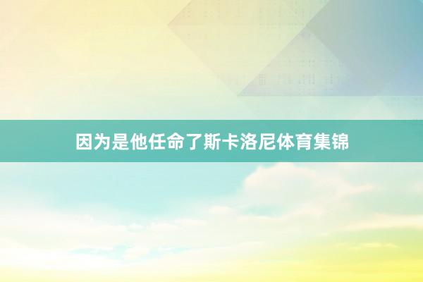 因为是他任命了斯卡洛尼体育集锦