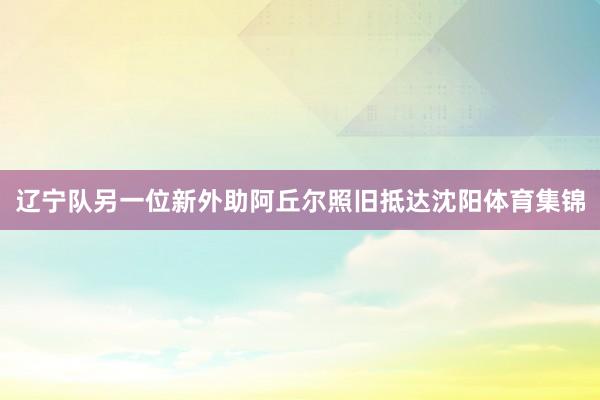 辽宁队另一位新外助阿丘尔照旧抵达沈阳体育集锦