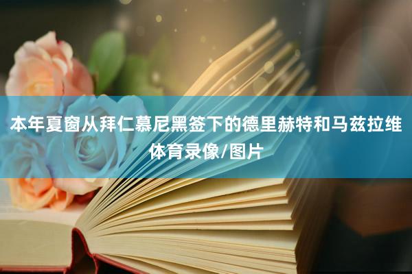 本年夏窗从拜仁慕尼黑签下的德里赫特和马兹拉维体育录像/图片