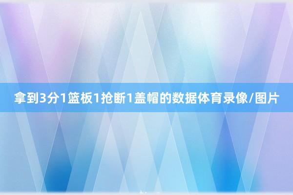 拿到3分1篮板1抢断1盖帽的数据体育录像/图片