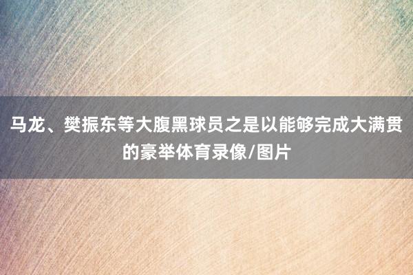 马龙、樊振东等大腹黑球员之是以能够完成大满贯的豪举体育录像/图片